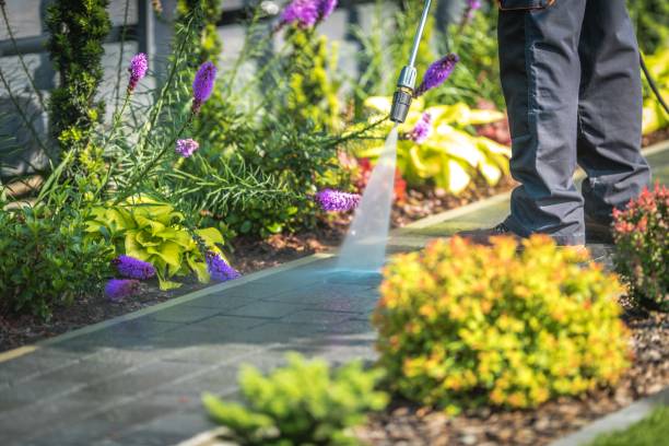 Trusted Lawrenceburg, IN Pressure Washing Services Experts